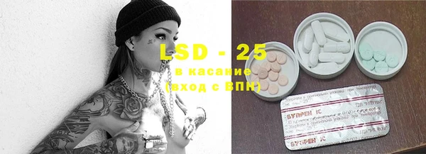 шишки Володарск