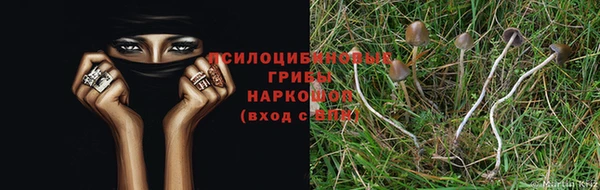 молекула духа Бородино