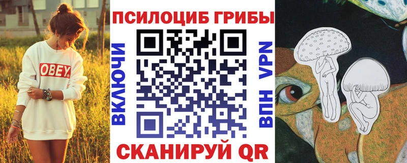 Галлюциногенные грибы мицелий купить закладку Дмитровск